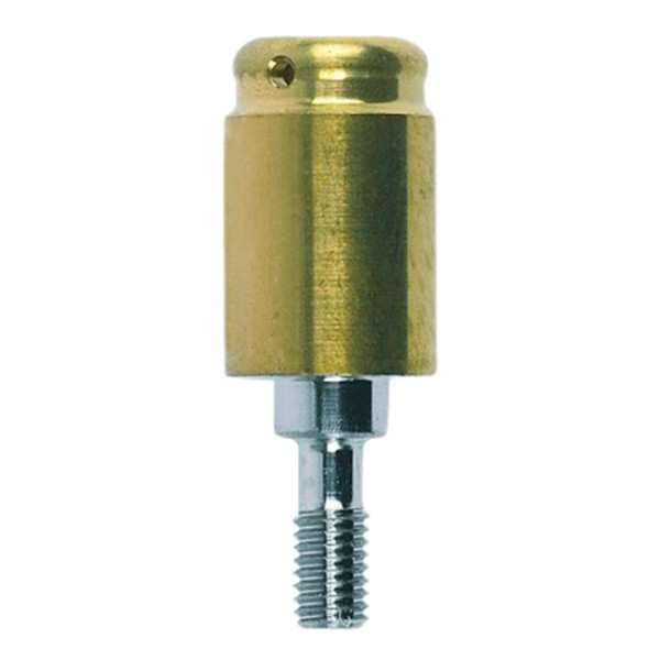 Locator®-Abutment für Hex Connection